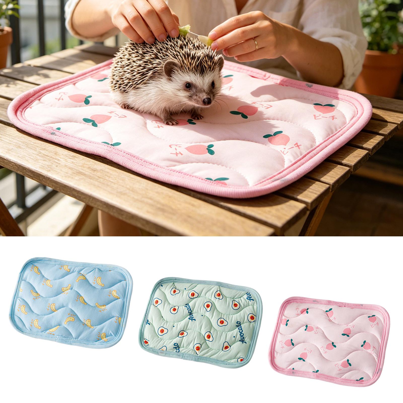 Pet Cooling Mat Washable Small - Outdoor Camping Dog Kennel ulasan dan harga