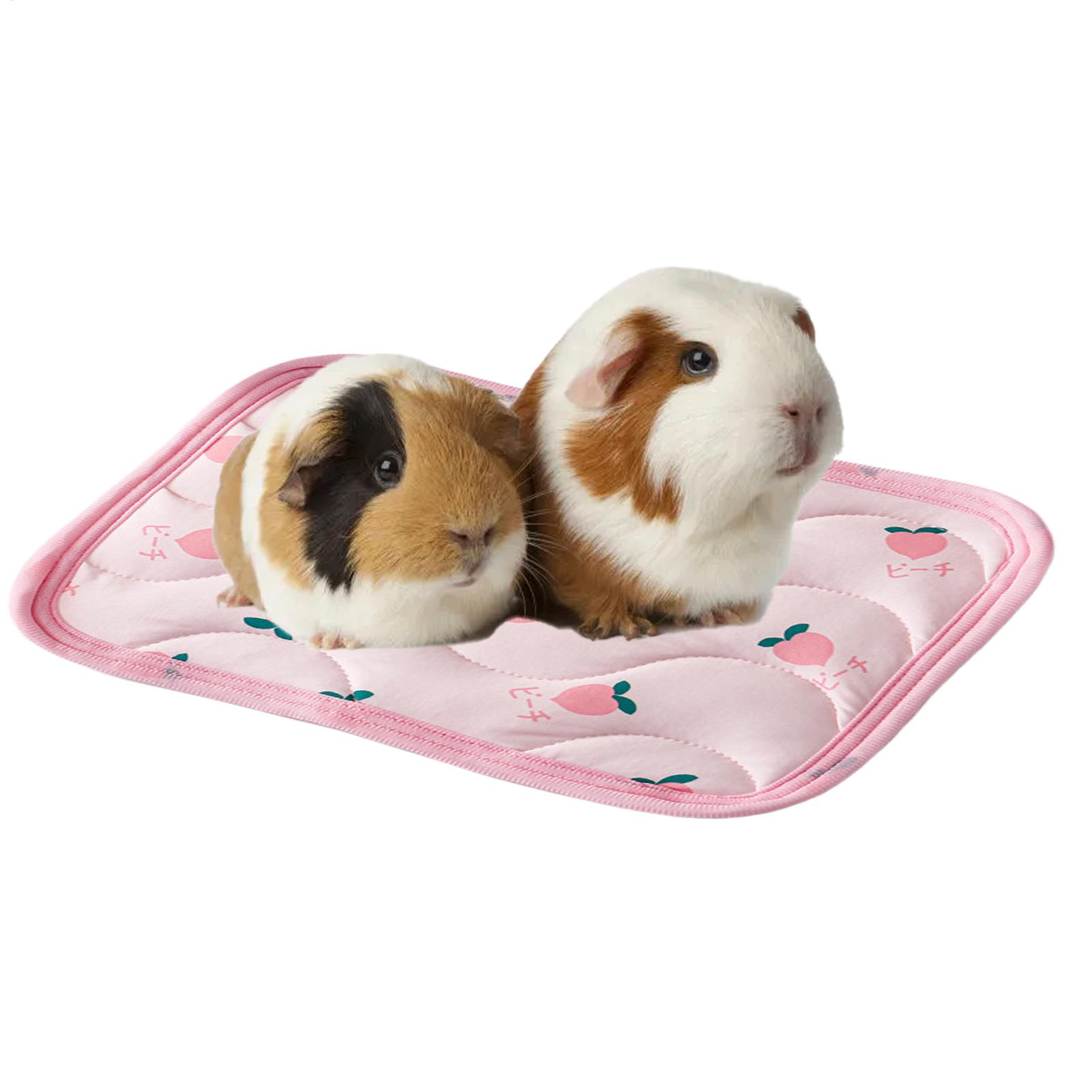 Pet Cooling Mat Washable Small - Outdoor Camping Dog Kennel ulasan dan harga