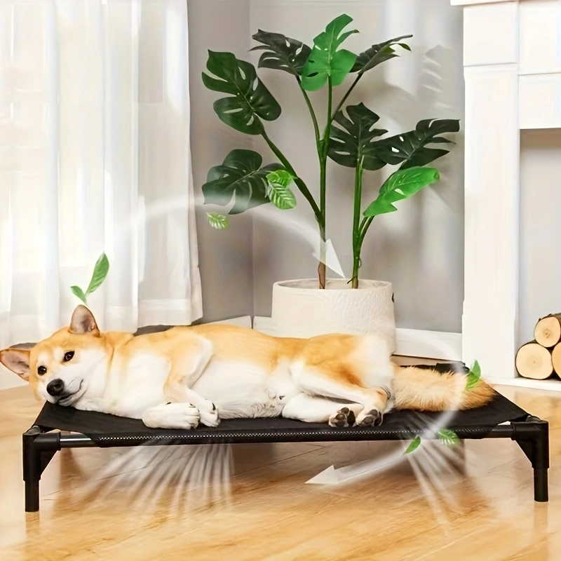 Cooling Elevated Dog Bed - Rai - Outdoor Camping Couch ulasan dan harga