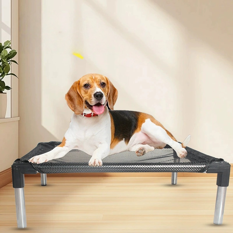 Cooling Elevated Dog Bed - Rai - Outdoor Camping Couch ulasan dan harga