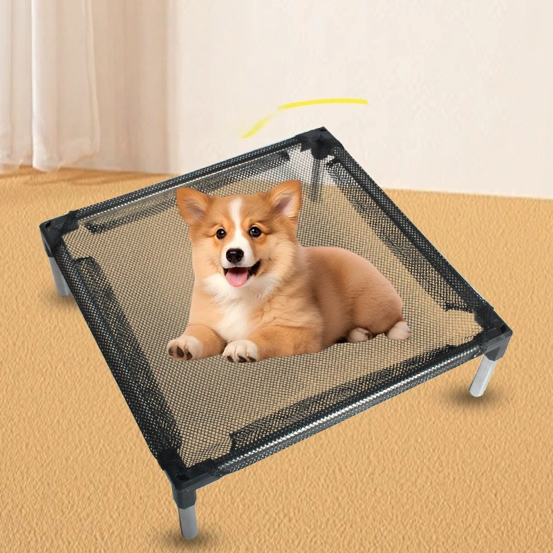 Cooling Elevated Dog Bed - Rai - Outdoor Camping Couch ulasan dan harga